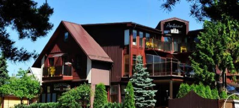 安塔诺维拉酒店(Antano Vila)图片