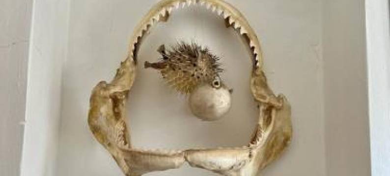 度假屋(Villino Morena)图片