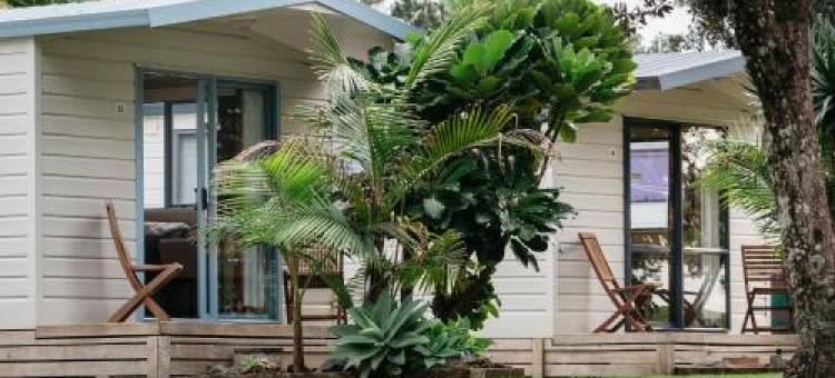 帕基里海滩度假公园(Pakiri Beach Holiday Park)图片