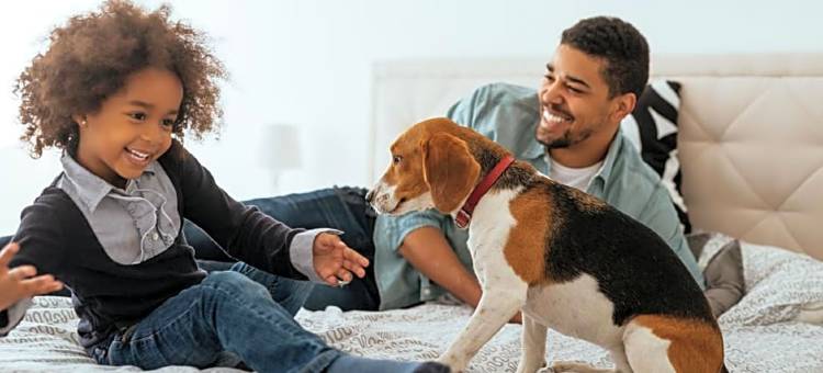 馨乐庭斯特拉斯堡克雷贝酒店(Citadines Kléber Strasbourg)图片