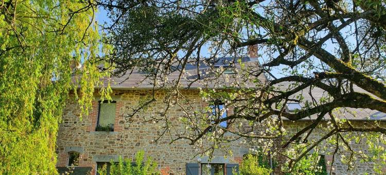 梦想种子旅馆(Graine de Reves)图片