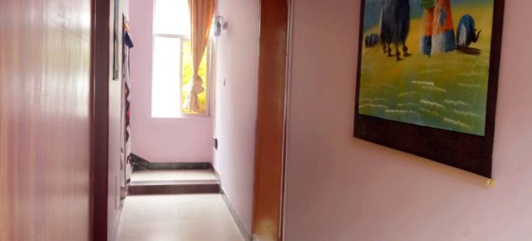 林芝阿米罗罗客栈图片