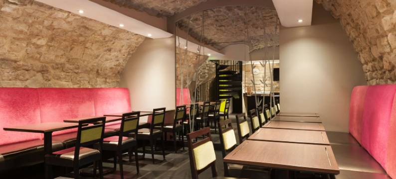 威克斯索尔酒店(Hôtel du Vieux Saule)图片