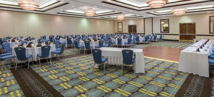 圣路易斯机场皇冠假日酒店(Crowne Plaza ST. LOUIS AIRPORT by IHG)图片