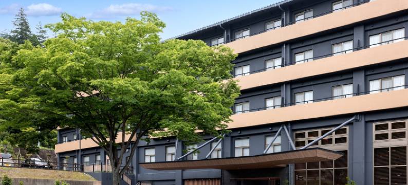 青云庄水疗度假酒店(Hotel Seiunso)图片