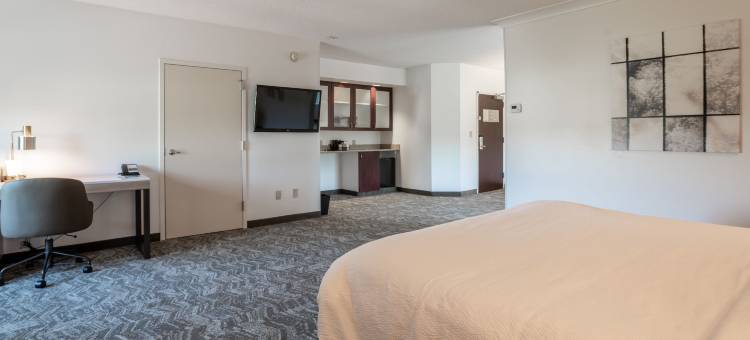 SpringHill Suites Gainesville图片