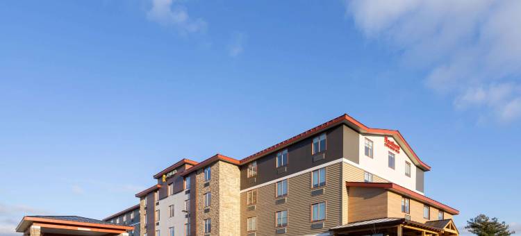 温德姆旗下拉昆塔温德姆酒店套房-威利斯顿/伯灵顿(La Quinta Inn & Suites by Wyndham Williston/Burlington)图片