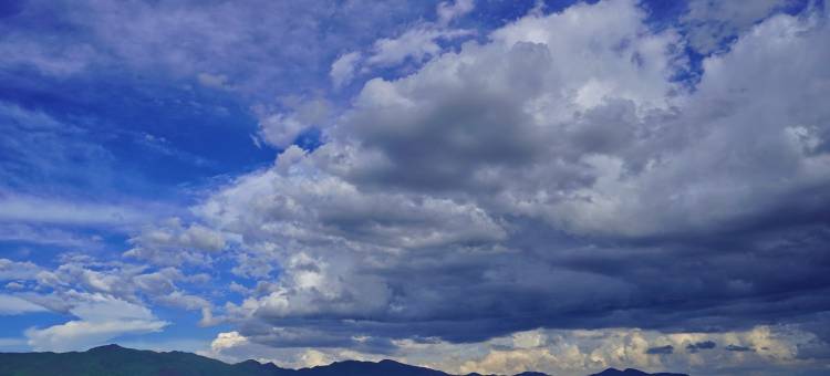 栖心花园美宿丽园栖心客栈(吉祥路分店)图片