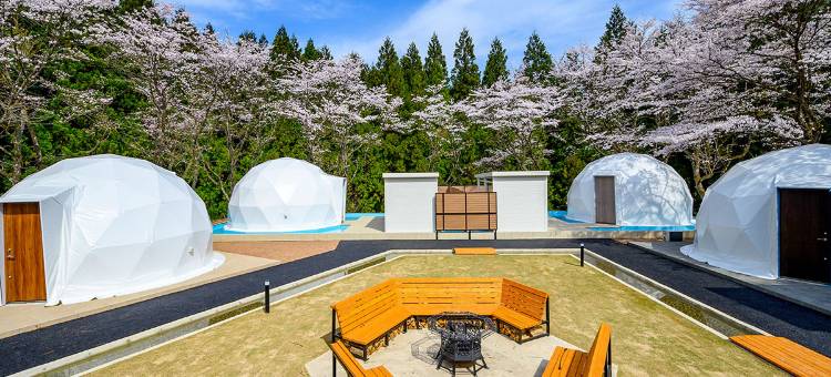 Rupo no Mori (Foret de Repos)图片