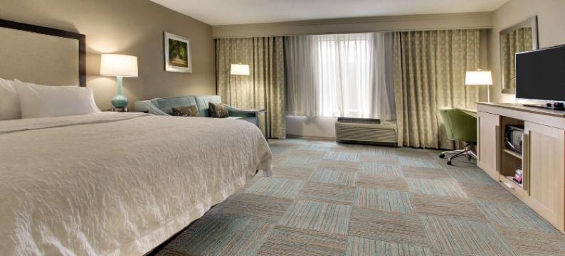 珀特索斯酒店(Hampton Inn Yemassee Point South)图片