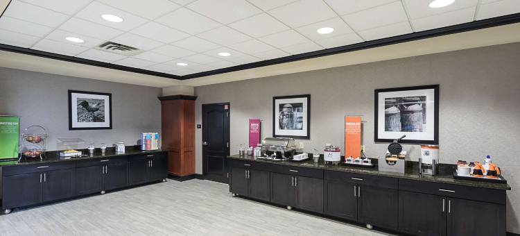 印第安纳波利斯/布朗斯堡欢朋套房酒店(Hampton Inn & Suites Indianapolis/Brownsburg)图片