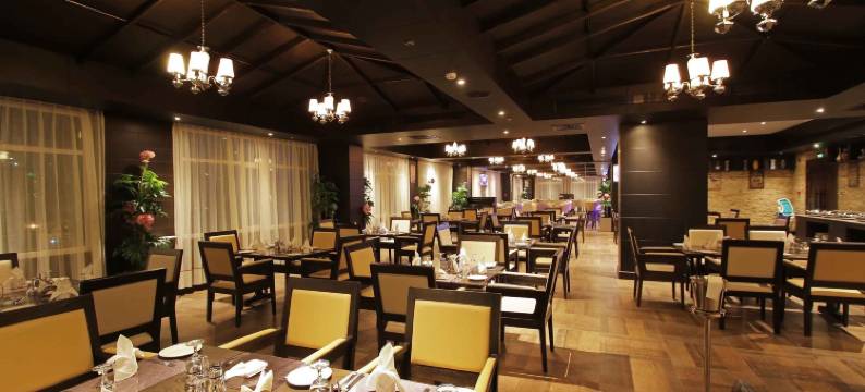 瑞吉公园莲花酒店(Park Regis Lotus Hotel)图片