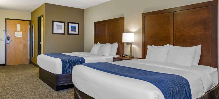 博兹曼大学附近舒适酒店(Comfort Inn Bozeman Near University)图片