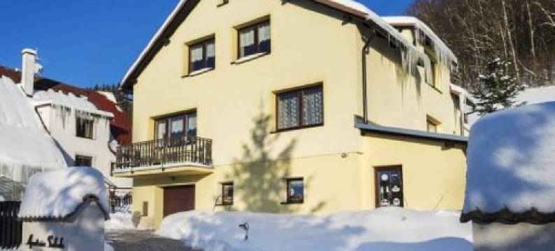 公寓(Apartmán Svoboda)图片