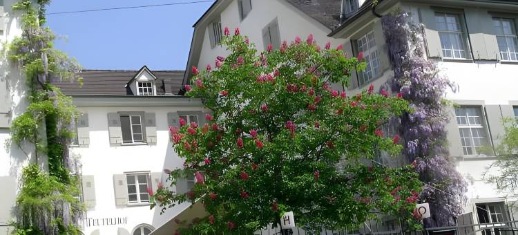 巴塞尔特芬霍夫文化旅馆酒店(Gast - Und Kulturhaus der Teufelhof Basel)图片