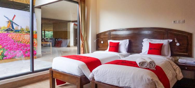 红多兹酒店近隆达托拉雅(RedDoorz Near Londa Toraja)图片