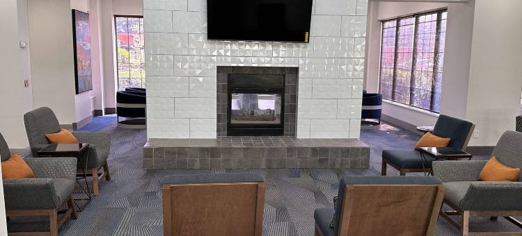 温德姆南荷兰拉昆塔温德姆套房酒店(La Quinta Inn & Suites by Wyndham South Holland)图片