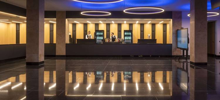 英戈尔斯塔特马里蒂姆酒店(Maritim Hotel Ingolstadt)图片