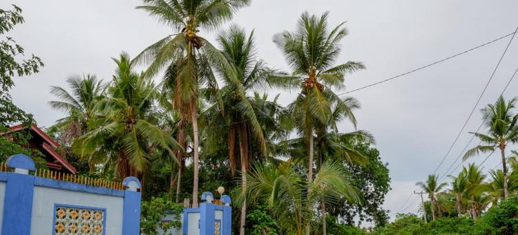 红多兹酒店@瓦卡托比万吉万吉岛(RedDoorz @ Wangi-Wangi Island Wakatobi)图片