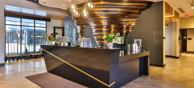 西尔弗索恩英迪格酒店(Hotel Indigo Silverthorne)图片