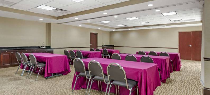 塔瓦雷斯北舒适套房酒店(Comfort Inn & Suites Tavares North)图片