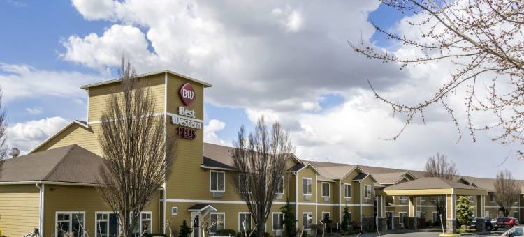 葡萄藤贝斯特韦斯特优质酒店(Best Western Plus Grapevine Inn)图片