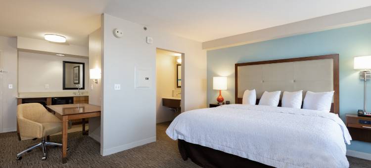 奥斯汀机场欢朋套房酒店(Hampton Inn & Suites Austin-Airport)图片