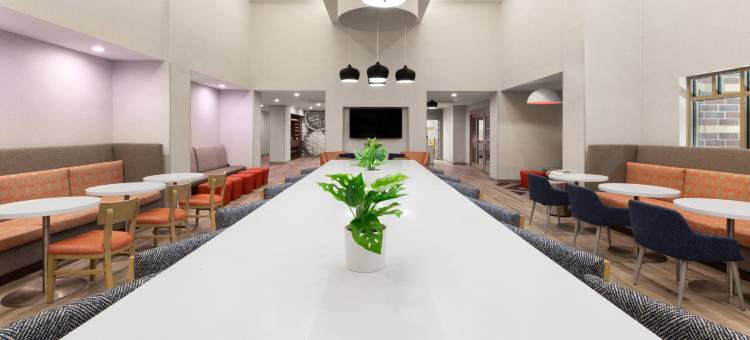 萨吉诺欢朋套房酒店(Hampton Inn & Suites Saginaw)图片