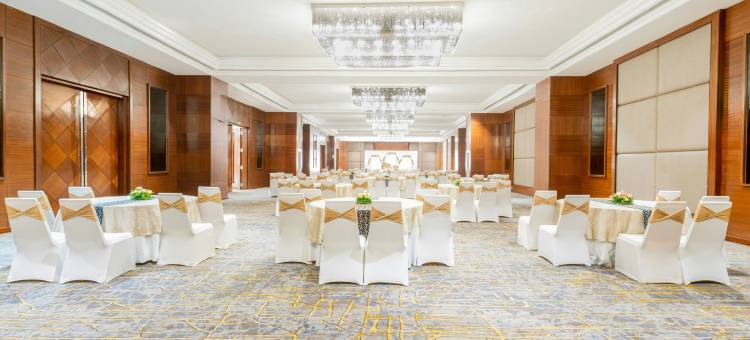 海得拉巴艾美酒店(Le Meridien Hyderabad)图片