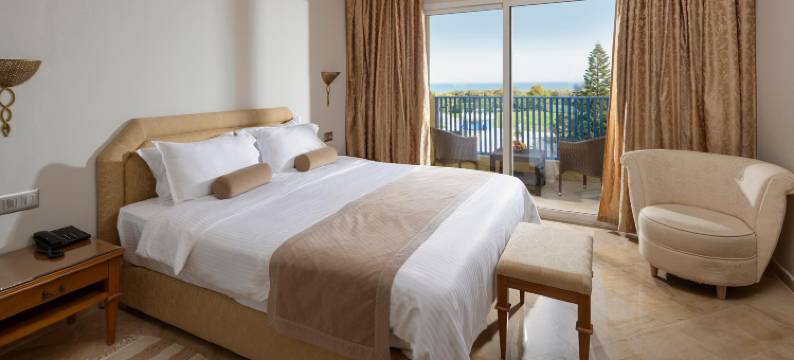 突尼斯维尔迪海滩度假村(Verdi Tunis Beach Resort)图片