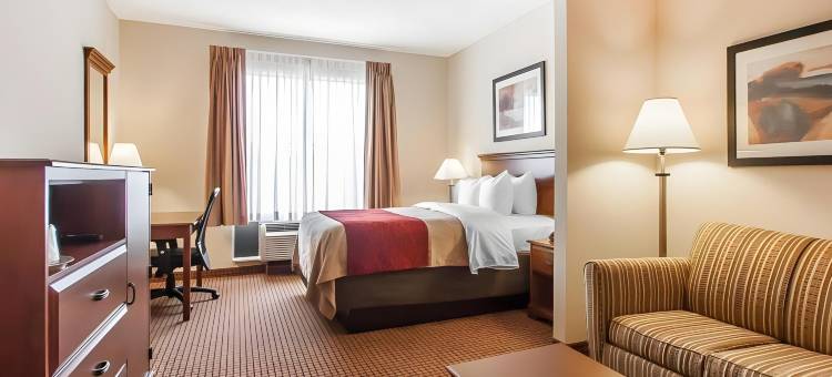 舒适套房酒店-阿托卡米灵顿(Comfort Inn & Suites Atoka-Millington)图片