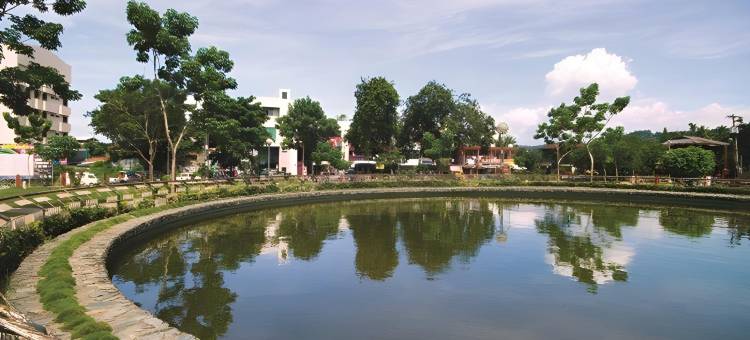 自然高级旅馆(Nature's Pensionne House)图片