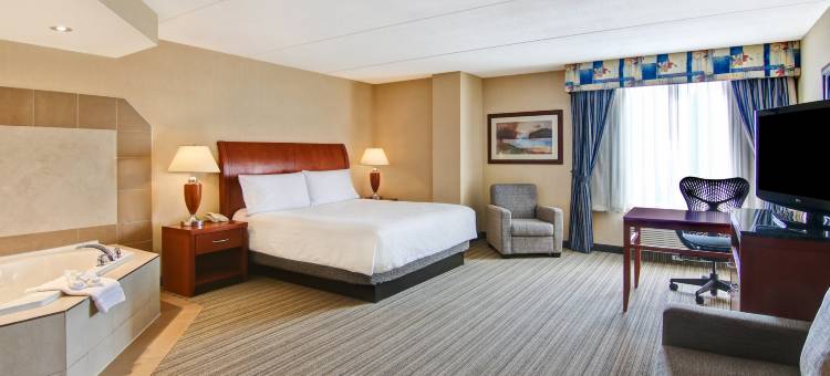 多伦多伯林顿希尔顿花园酒店(Hilton Garden Inn Toronto/Burlington)图片