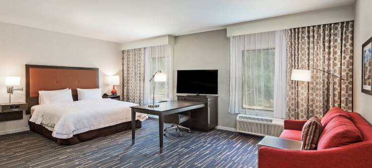 得克萨斯州休斯顿/阿塔斯卡西亚欢朋套房酒店(Hampton Inn & Suites Houston/Atascocita)图片
