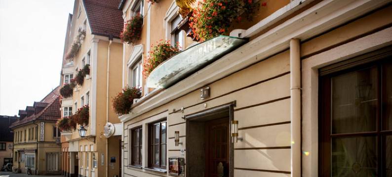 阿德勒酒店(Hotel Adler - Paulas Alb)图片