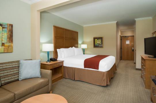 智选假日套房酒店圣克拉拉 - 硅谷(Holiday Inn Express & Suites SANTA CLARA - SILICON VALLEY by IHG)