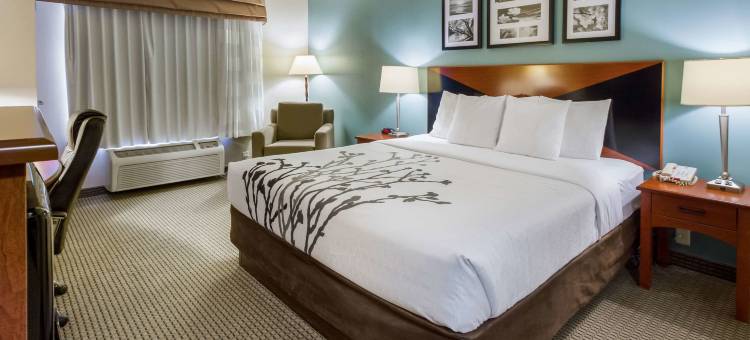 舒眠酒店及套房(Sleep Inn & Suites)图片