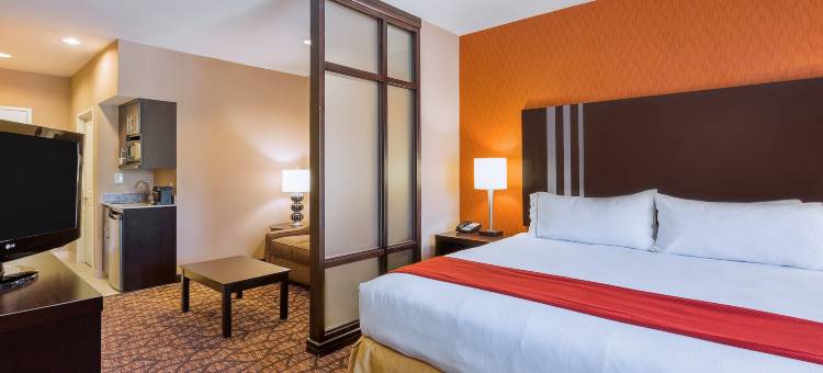 智选假日套房酒店高山东南(Holiday Inn Express & Suites Alpine Southeast)图片