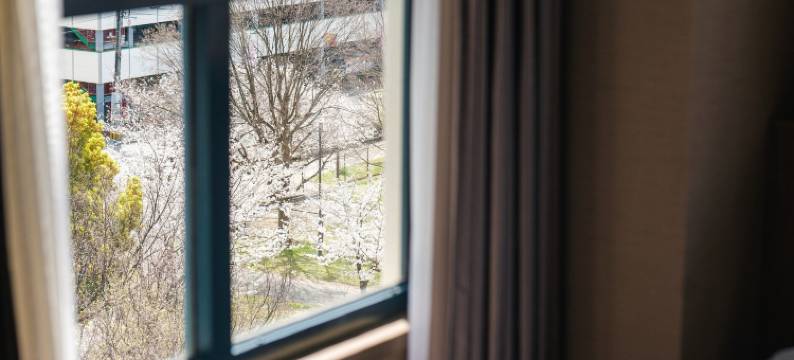 福冈基础酒店(The Basics Fukuoka)图片