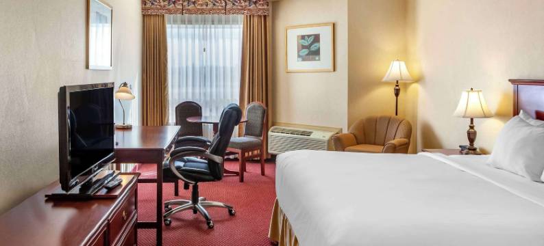 品质酒店及套房埃德蒙顿国际机场(Quality Inn & Suites Edmonton International Airport)图片