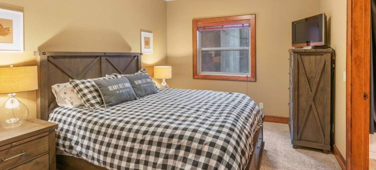 I Spy - 舒适的宠物友好型，滑雪入/滑雪出公寓，带私人热水浴缸(I Spy - Cozy Pet Friendly, Ski in/Ski Out Condo with Private Hot Tub)图片