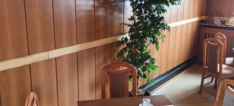 史特缇娜霍夫酒店(Stettiner Hof)图片