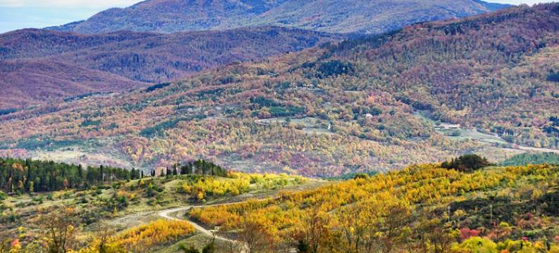 龙迪内利农庄酒店(Agriturismo Bio I Rondinelli)图片