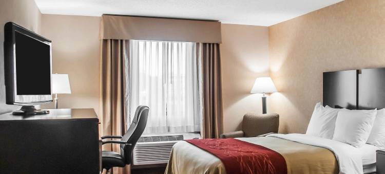 凯艺酒店(Quality Inn)图片