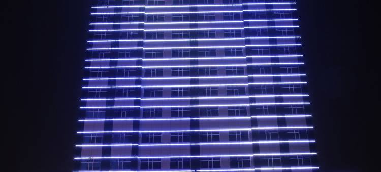 瑞吉公园莲花酒店(Park Regis Lotus Hotel)图片