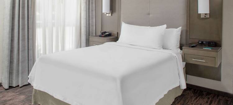 达拉斯欧文Homewood套房酒店-拉斯科琳娜酒店(Homewood Suites by Hilton Dallas - Irving/Las Colinas)图片