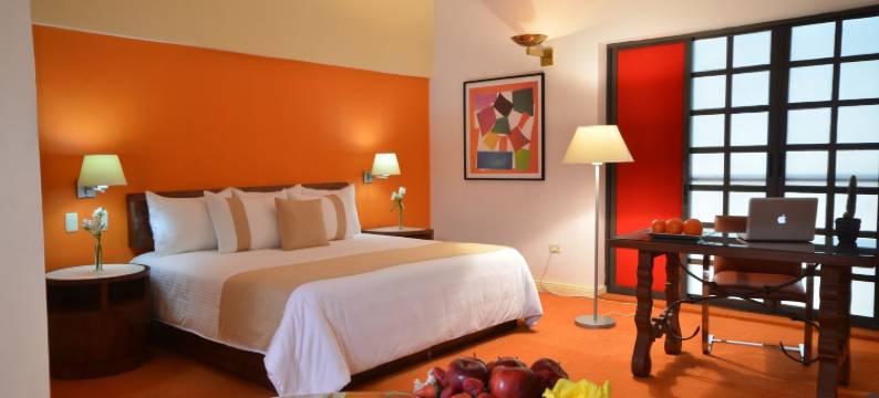 蒙特雷历史中心米西翁酒店(Mision Monterrey Centro Historico)图片