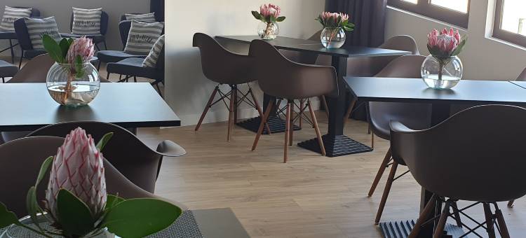 波尔图维尔精品旅馆(Porto Velho Boutique Hostel)图片