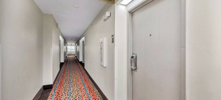 学院旅店(College Inn)图片