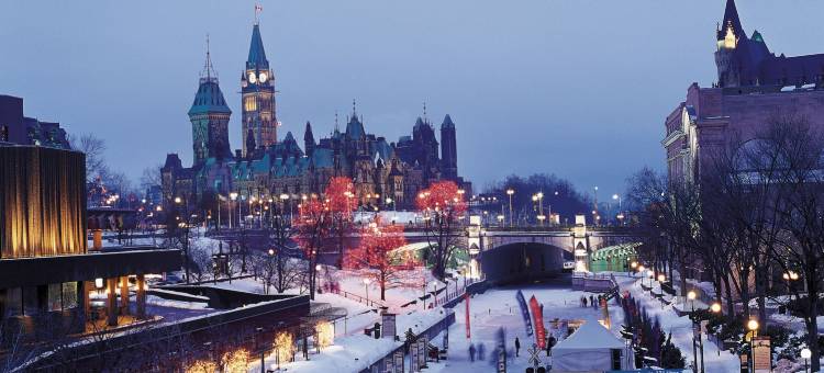 舒适酒店(Comfort Inn)图片